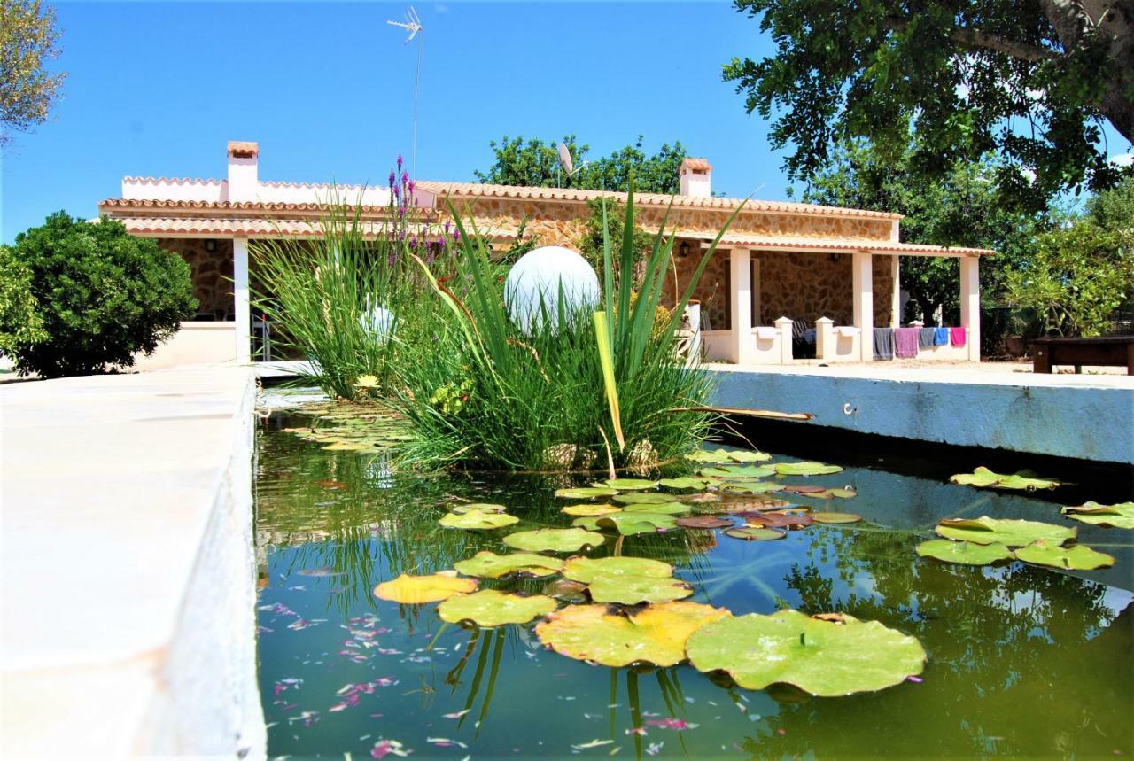 Es Marroig Villa Llucmajor  Exteriör bild
